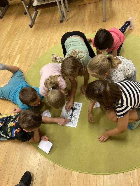 Optische Illusionen Kindergruppe